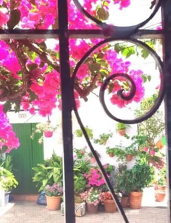 La Buganvilla De Juana Y Antonio Holiday home *