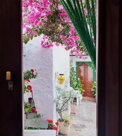 La Buganvilla De Juana Y Antonio Tatil Evi