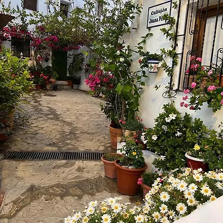 La Buganvilla De Juana Y Antonio
